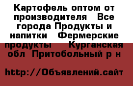 Картофель оптом от производителя - Все города Продукты и напитки » Фермерские продукты   . Курганская обл.,Притобольный р-н